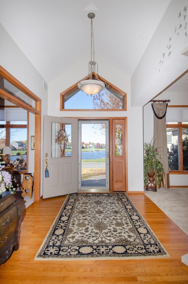 entryway featuring lofted ceiling, hardwood / wood-style floors, and a healthy amount of sunlight