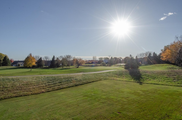 view of home's community with a yard