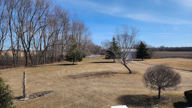 view of yard featuring a rural view