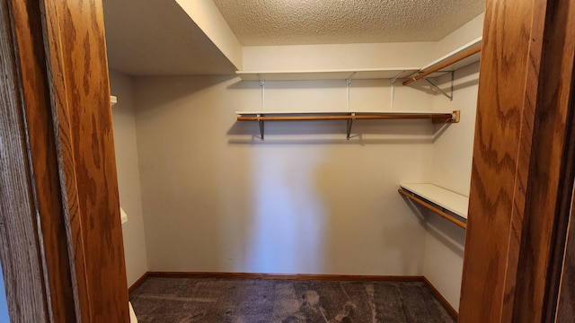 spacious closet with carpet flooring