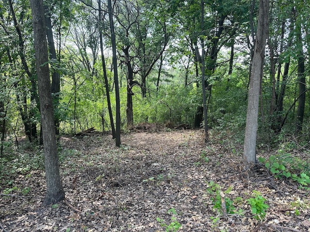 195X Glenhill Rd, Mendota Heights MN, 55118 land for sale