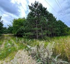 Listing photo 2 for TBD County Highway 54, New York Mills MN 56567