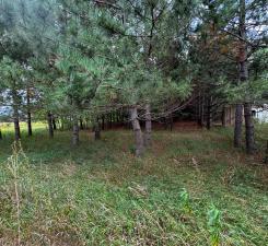 TBD County Highway 54, New York Mills, MN 56567 - photo 3