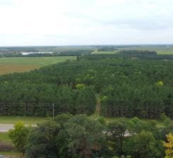TBD County Highway 54, New York Mills, MN 56567 - photo 5