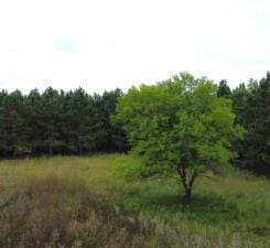 TBD County Highway 54, New York Mills, MN 56567 - photo 8