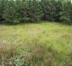 TBD County Highway 54, New York Mills, MN 56567 - photo 11