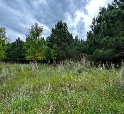 TBD County Highway 54, New York Mills, MN 56567 - photo 15