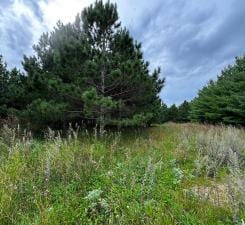 TBD County Highway 54, New York Mills, MN 56567 - photo 16