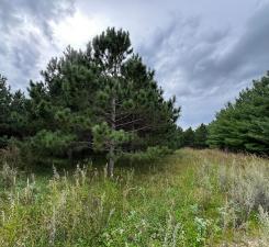 TBD County Highway 54, New York Mills, MN 56567 - photo 17
