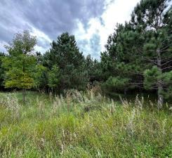 TBD County Highway 54, New York Mills, MN 56567 - photo 18