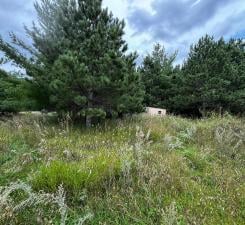 TBD County Highway 54, New York Mills, MN 56567 - photo 19