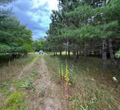 TBD County Highway 54, New York Mills, MN 56567 - photo 20