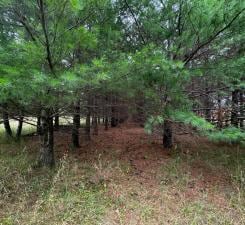 TBD County Highway 54, New York Mills, MN 56567 - photo 21