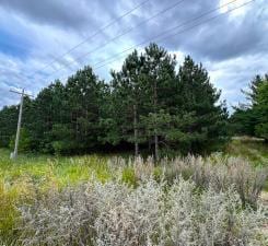 TBD County Highway 54, New York Mills, MN 56567 - photo 23