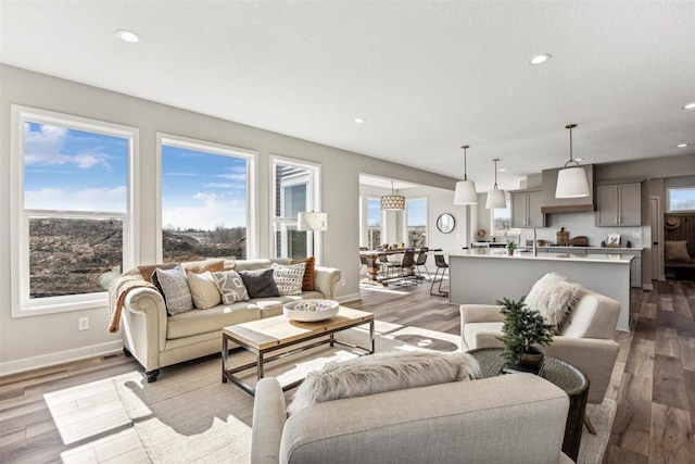 living room with light hardwood / wood-style flooring