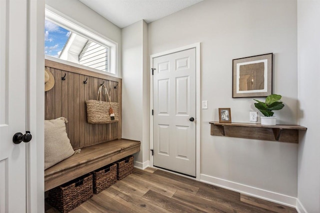 mudroom featuring dark hardwood / wood-style flooring