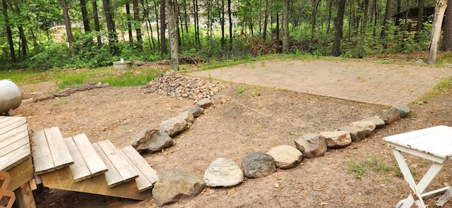 3736 Silent Springs Ct, Webb Lake, WI 54830 - view of yard