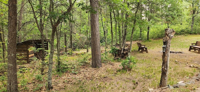 3736 Silent Springs Ct, Webb Lake, WI 54830 - view of local wilderness with a wooded view
