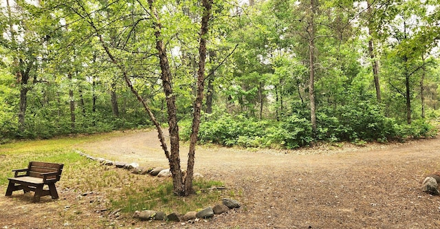 3736 Silent Springs Ct, Webb Lake, WI 54830 - view of yard featuring a wooded view