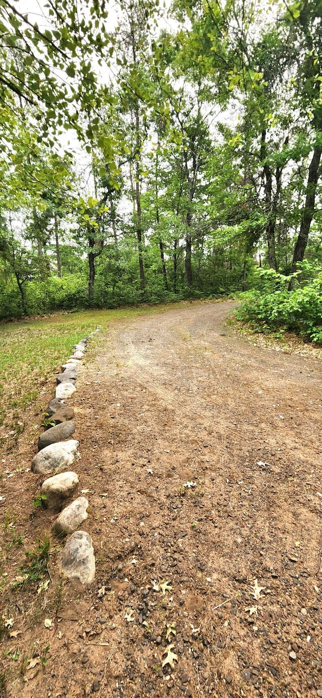 3736 Silent Springs Ct, Webb Lake, WI 54830 - view of yard