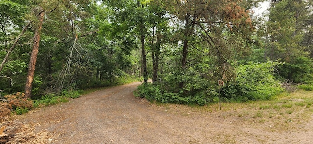 3736 Silent Springs Ct, Webb Lake, WI 54830 - view of road featuring a view of trees