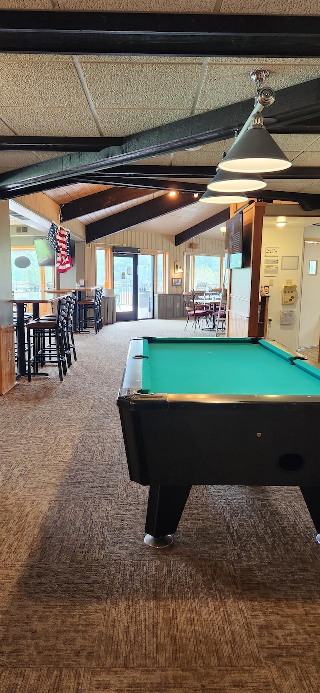 3736 Silent Springs Ct, Webb Lake, WI 54830 - playroom with carpet and pool table