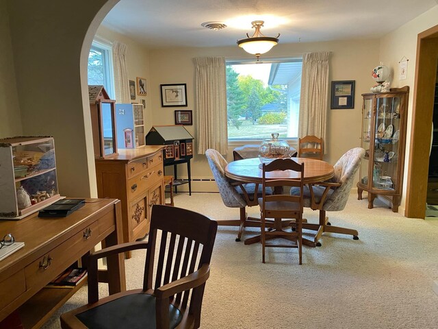 dining room with light carpet, a baseboard radiator, and plenty of natural light