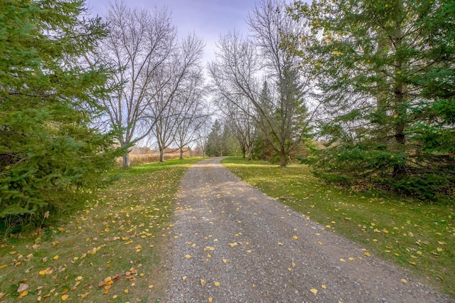 view of road