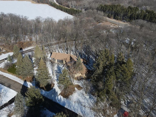 view of snowy aerial view