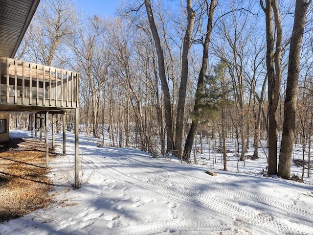 view of snowy yard