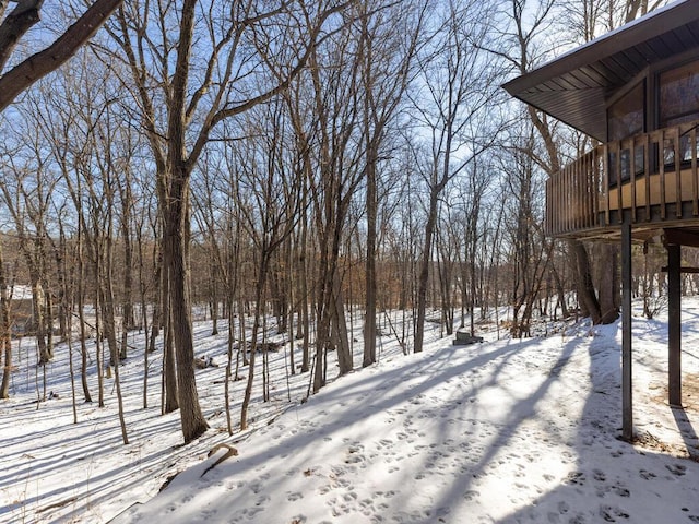 view of yard covered in snow