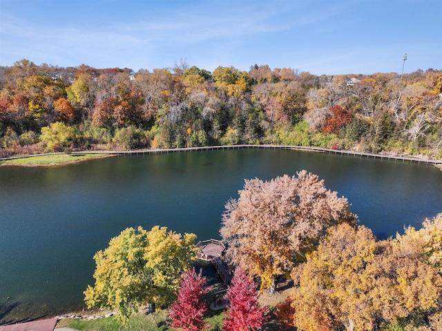 aerial view featuring a water view and a view of trees