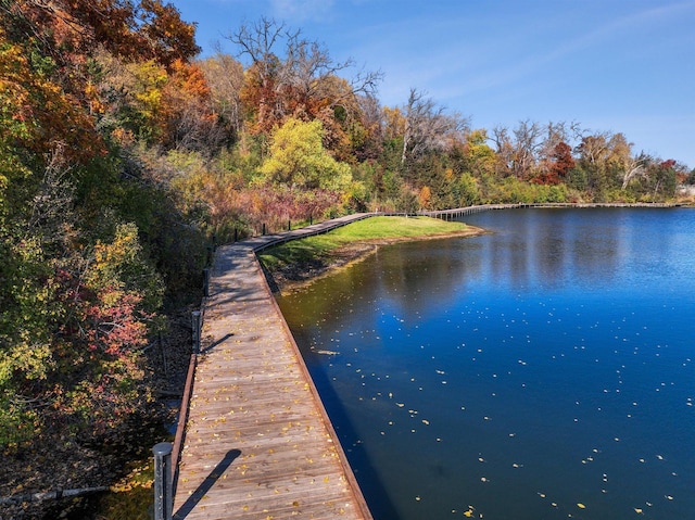 view of dock featuring a water view and a view of trees