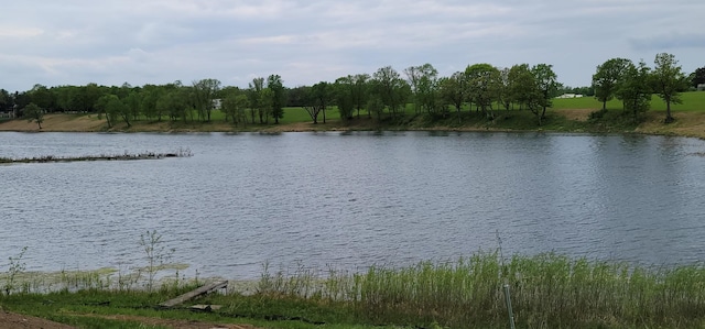 316XXLOT1 Maria Ave, Lindstrom, MN 55045 - photo 3