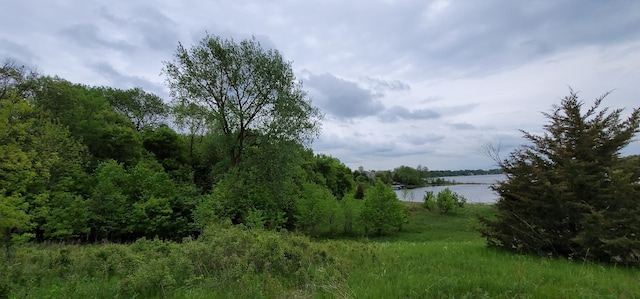 316XXLOT3 Maria Ave, Lindstrom, MN 55045 - photo 4