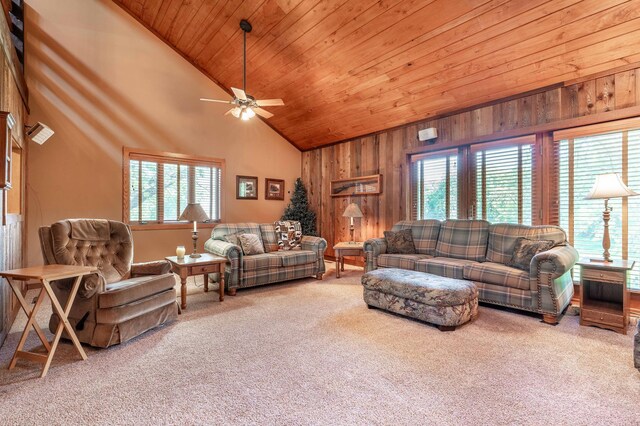 20017 Horseshoe Rd NW, Evansville, MN 56326 - photo 14