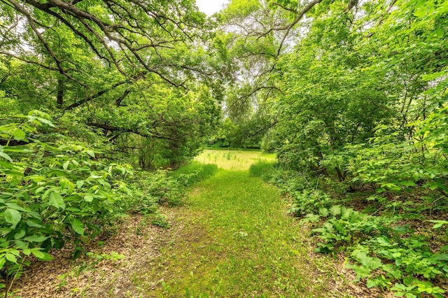 20017 Horseshoe Rd NW, Evansville, MN 56326 - photo 74