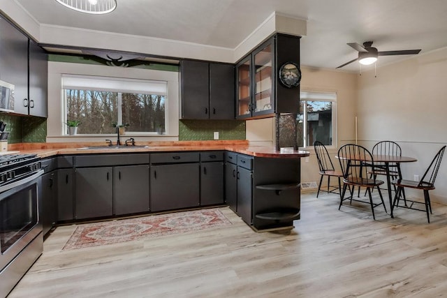 kitchen with tasteful backsplash, gas range, sink, and ornamental molding