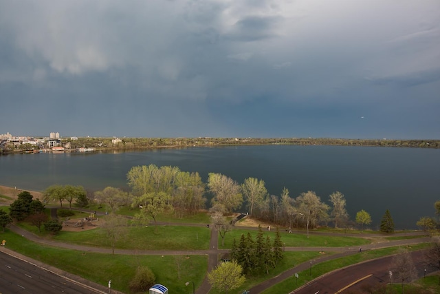 2950 Dean Pkwy Unit 1201, Minneapolis, MN 55416 - photo 64