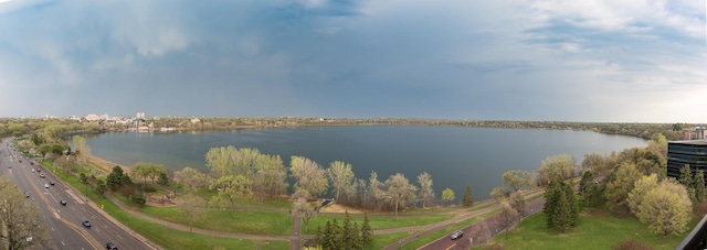 2950 Dean Pkwy Unit 1201, Minneapolis, MN 55416 - photo 65