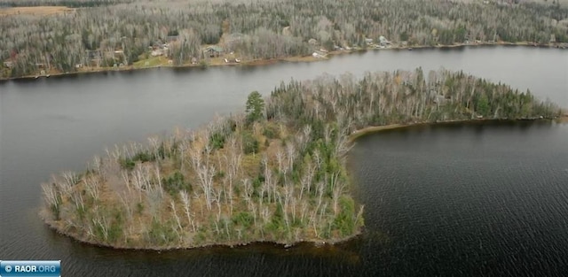 aerial view with a water view and a forest view