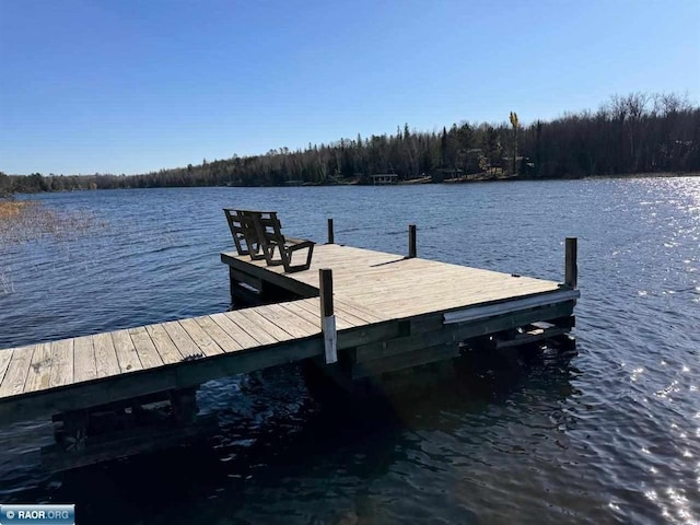 dock area with a water view and a view of trees