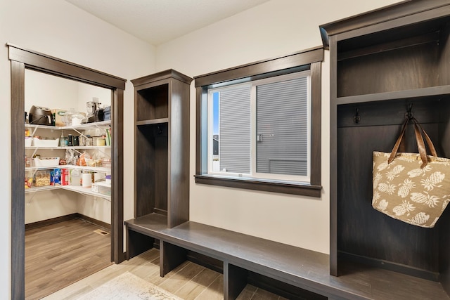 mudroom with wood-type flooring