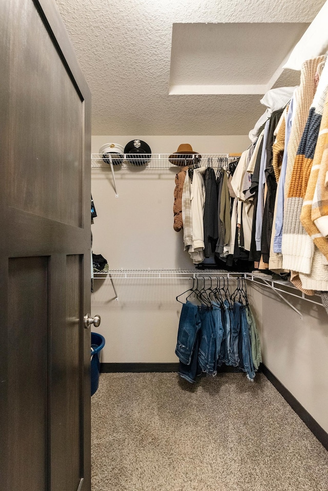 view of walk in closet