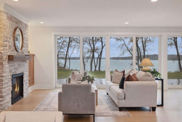 living room featuring a water view, light hardwood / wood-style floors, and a fireplace