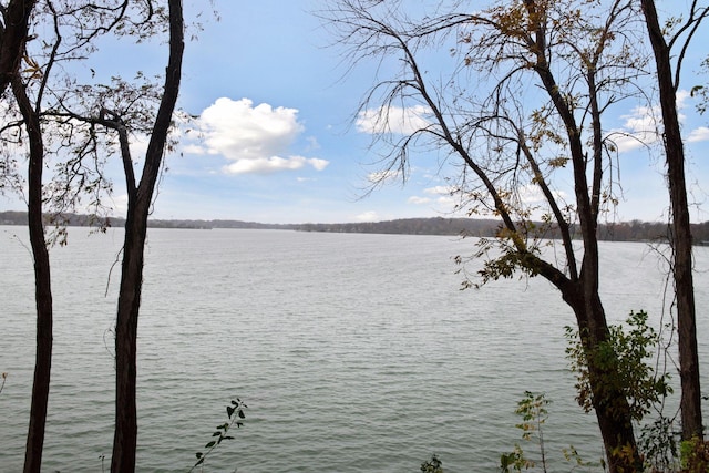 view of water feature