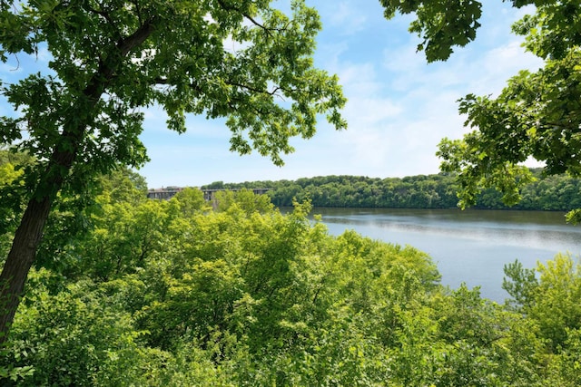 property view of water