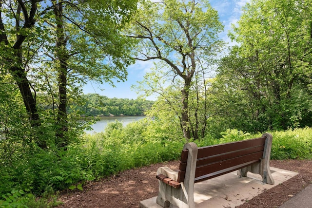 view of community with a water view