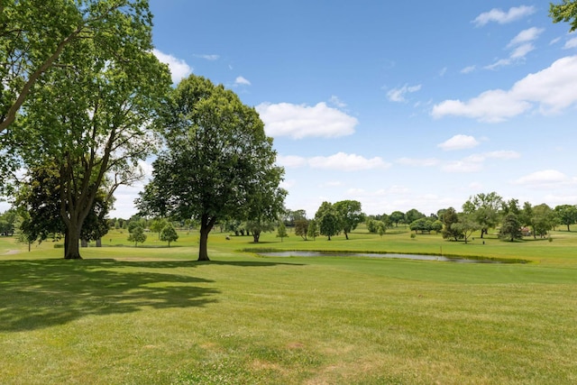 view of community with a lawn