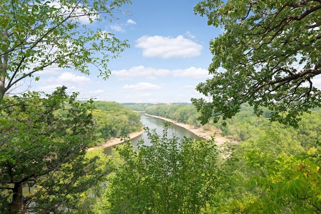 view of nature featuring a water view